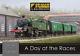 A Day At The Races Graham Farish N Gauge Train Set 370-185