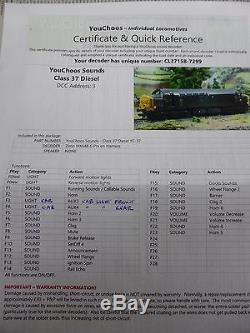 Farish n gauge 371-166 Class 37/4 sound, lights, cab lights & crew fitted