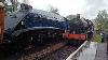 Giants Of Steam At The Bluebell Railway