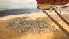 It Got Way Worse Burning Man 2023 Rain Update Pt 2